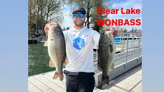 Clear Lake WONBASS Tournament (4/15-19/2024)