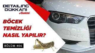 Böcekler Neden Temizlenmeli? | Detailing Dükkanı’nda “Nasıl Yapıyoruz" Eğitim Serisi | Bölüm #06