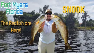 Fort Myers Florida Fishing: The REDFISH Were Thick and Snook Fishing in the Evening!
