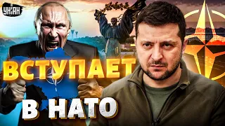 Кремль в ярости! Украина вступает в НАТО. Так Путина еще не унижали: мощное заявление Госдепа