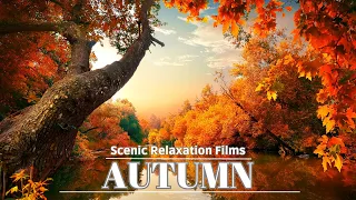 AUTUMN 4K Ultra HD • Scenic Relaxation Films • Peaceful Relaxing Music