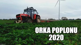 Ursus 1014 & AGRO-MASZ PJ4 - orka poplonu