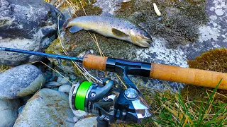 Ловим горную форель на силикон. Рыбалка на реке с походом. Zemex viper trout. Закрытие сезона 2020.