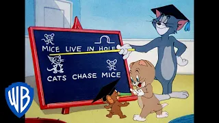 Tom & Jerry in italiano | Lezioni imparate! | WB Kids
