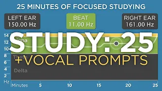 [Pomodoro Technique + Prompts] 25 Minutes of Focused Studying: The Best Binaural Beats