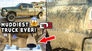 Deep Cleaning The MUDDIEST Truck I've Ever Seen! | The Detail Geek