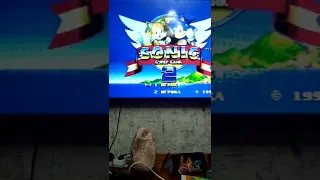 чит коды для игры sonic the hedgehog 2(sega)