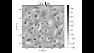 Inverse Cascade of the Barotropic Mode Kinetic Energy