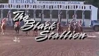 The Black Stallion theme song