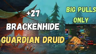 Guardian Druid M+ 27 Brackenhide | Fort Spiteful Volcanic | Ursoc's Fury Feelsgoodman