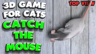 3D game for cats | CATCH THE MOUSE (top view)