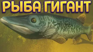 ВЫРАСТИЛ РЫБОВА ГИГАНТА ( Feed and Grow: Fish )