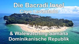 Bacardi Insel Cayo Levantado u. Walewatching Samana