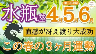 【ハッキリ出ました】あなたは主役！光り輝く存在🌟金運最強です💸水瓶座♒️第二四半期リーディング🐉仕事運,人間関係運,恋愛運,金運,財運,家庭運,事業運,全体運［タロット/オラクル/風水］