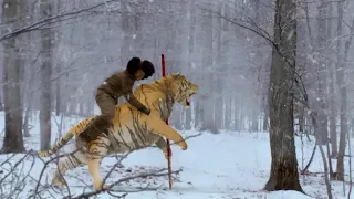 When a tiger attacks, the kung fu man kills the tiger with his bare hands