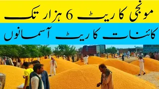 آج غلہ منڈی میں 1509اور 1121 سپر کائنات کا ریٹ کیا ہے