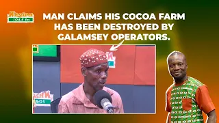 Man claims his cocoa farm has been destroyed by galamsey operators.