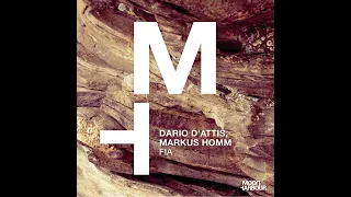 Dario D'Attis, Markus Homm - Fia