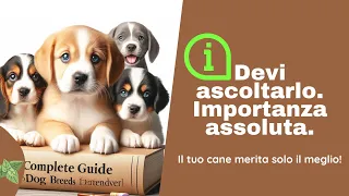 Guida  Completa alle Razze di Cani | Consigli top 1 per il Benessere del Tuo Cucciolo!