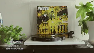 Screaming Trees - Julie Paradise #11 [Vinyl rip]