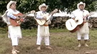 grupo cristo es la fuente- Maestro de galilea en tsotsil