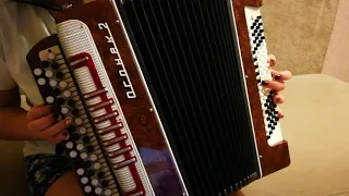 Button accordion Ogonyok 2