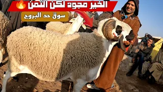 حولي العيد موجود في سوق حد البروج مع ثمن الأغنام بتاريخ 21/04/2024