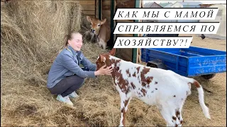 Как живётся в деревне без мужей? Куда пропал мой папа?