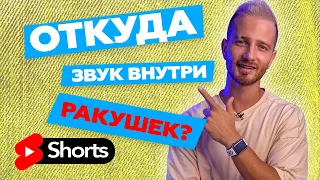 Откуда звук внутри ракушки? 🐚