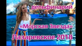 ОТЕЛИ НА ЮГЕ | Отель Дельфин  Лазаревское, Дельфинарий Морская Звезда, Океанариум, Конные прогулки