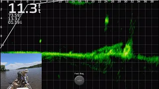 BIG Crappie and Catfish on Lake Darbonne!!!  Full-Screen LiveScope Fishing Footage!!!  Trip #10