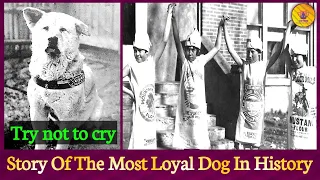 Hachiko: The Most Loyal Dog In History | Full Story | Interesting Photographs With Their Backstories