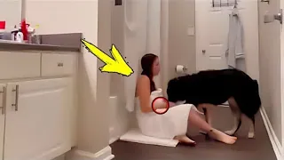 The wife locks herself in the bathroom with the dog; one day her husband found out a terrible secre