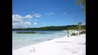 Австралия - Озеро Беррабеен. Нашли Ящера. Остров Фрейзер/Australia - Fraser Island, Lake Birrabeen