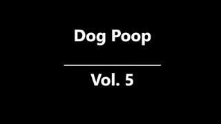 Jim Florentine- Terrorizing Telemarketers- Dog Poop