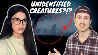 Family HUNTED by pack of unidentified creatures  |  Mrballen reaction