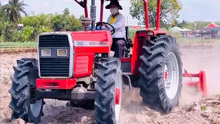 Siêu phẩm massey ferguson 390 xới và cào đất ruộng đám mía trồng một vụ phá ra