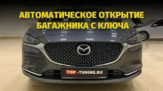 Амортизаторы в багажник Mazda 6 2019