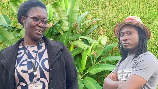 Ahantaman Girls' SHS Headmistress Unveils A Mighty School Farm