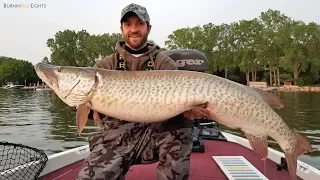 Fishing For BIG Muskys On The Fox River (New Personal Best!)