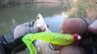 San Gabriel river Bank fishing & kayaking the River!