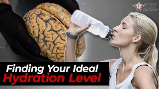 The Science of Hydration: How Much Water You Really Need