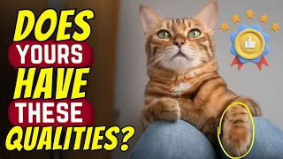 If Your Cat Has One Of These 13 Qualities, They Are TRULY Special