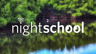 NightSchool: Into the Mangroves