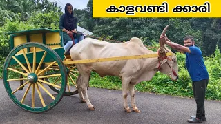 കാളവണ്ടി ഓടിക്കുന്ന പെൺകുട്ടി Bullock Cart riding girl Horse Riding girl