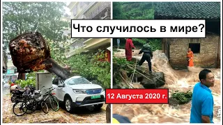 Все Катаклизмы за день 12 августа 2020 в мире | cataclysms of the day | Дрожь Земли