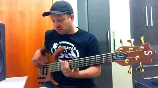 Gusttavo Lima "10 Anos" Sertanejo/forró no Baixo!!! Bass Cover!!!