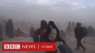 Сурия: ИШИД жаҳаннамидан қочиш - орқага йўл йўқ - BBC Uzbek