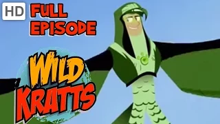 Wild Kratts - Raptor Roundup (HD - Full Episode)