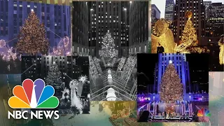 The Search For The Perfect Rockefeller Center Christmas Tree